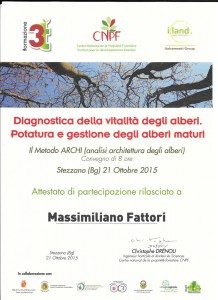 attestato-FATTORI-MASSIMILIANO